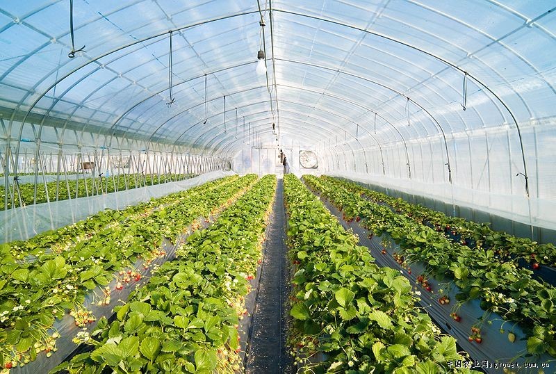 Solution1 Smart Temperature Control in Greenhouses CITIES